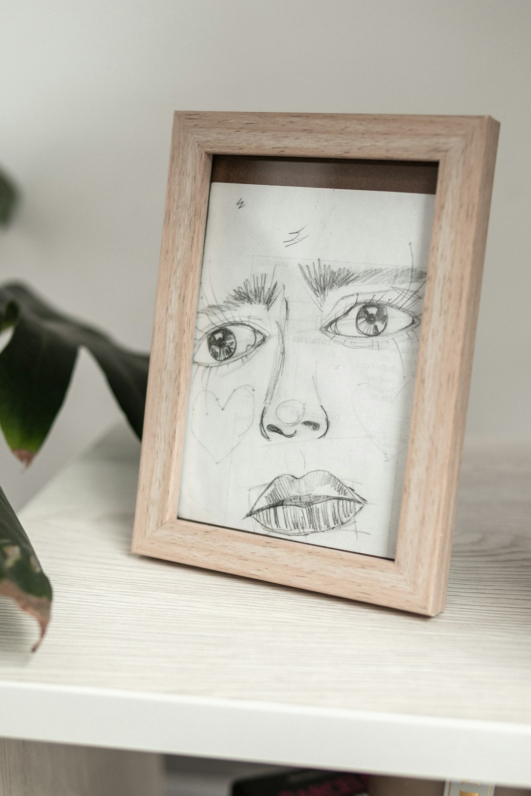 retratos al aire libre imagen 2